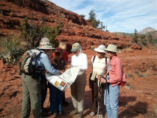 Friends of the Forest volunteers at a public event