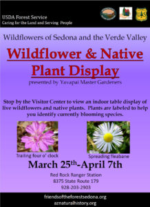 Red Rock Ranger Station Wildflower and Native Plant Display